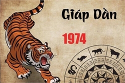 Nam tuổi Giáp Dần 1974 Đặt Bếp Hướng Nào Thu Hút Tài Lộc?