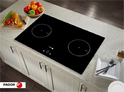 Bếp từ Fagor