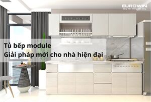 Tủ Bếp Module - Giải Pháp Mới Cho Nhà Hiện Đại