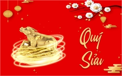 Quý Sửu 1973 Đặt Bếp Hướng Nào Cho Tài Lộc Sung Túc?