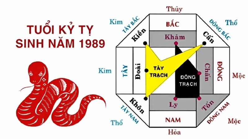 Kỷ Tỵ 1989 đặt bếp hướng nào