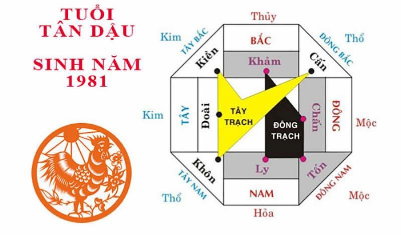 Tân Dậu 1981 đặt bếp hướng nào