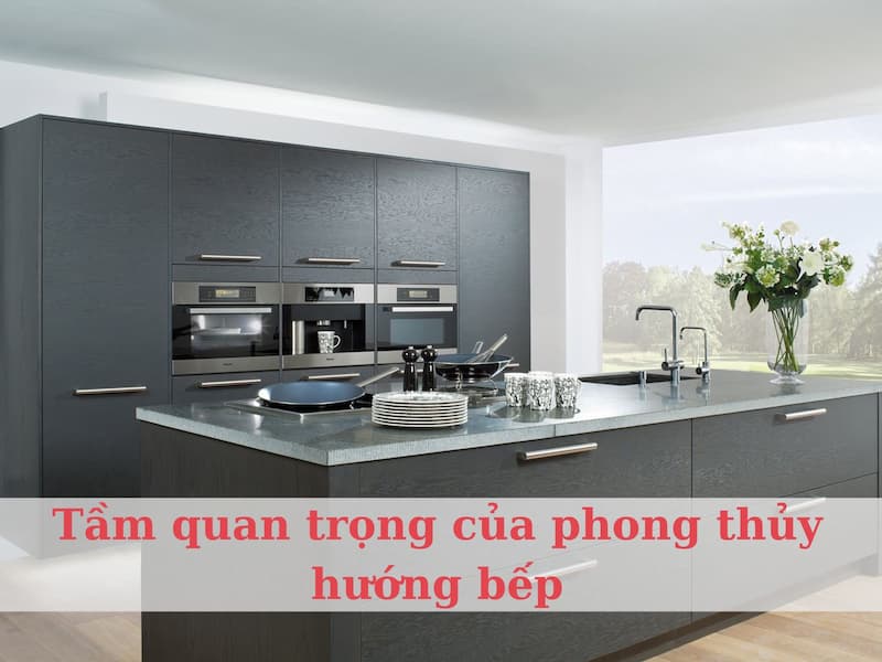 Tân Dậu 1981 đặt bếp hướng nào