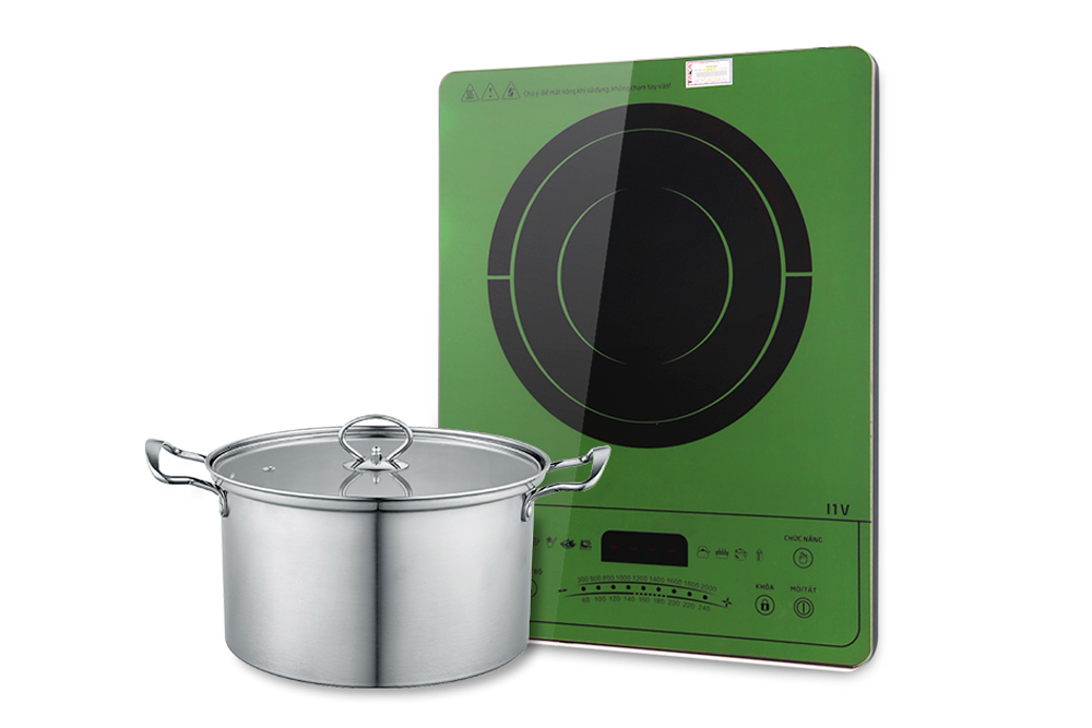 Bếp từ đơn Taka I1V