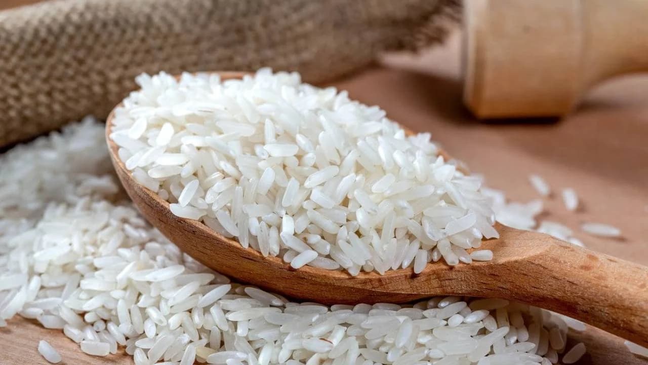 Có nên lắp thùng gạo âm tủ? Bí quyết bảo quản gạo sạch, không ẩm mốc